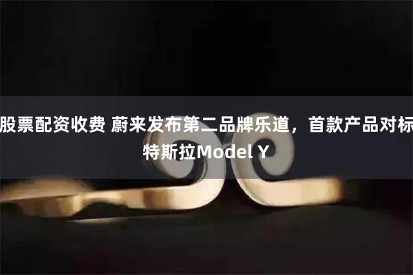 股票配资收费 蔚来发布第二品牌乐道，首款产品对标特斯拉Model Y