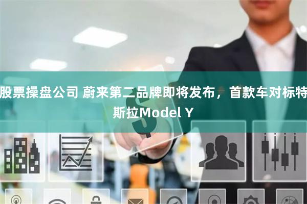 股票操盘公司 蔚来第二品牌即将发布，首款车对标特斯拉Model Y