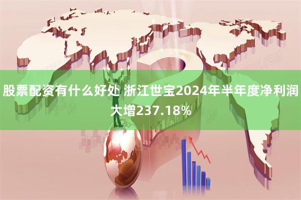 股票配资有什么好处 浙江世宝2024年半年度净利润大增237.18%