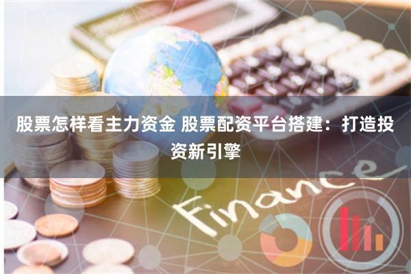 股票怎样看主力资金 股票配资平台搭建：打造投资新引擎